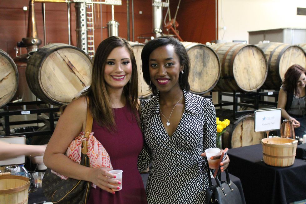 Houston, Houston Young Lawyers and South Asian Bar Associations YP Event, June 2015, Liz Babin, Drea James
