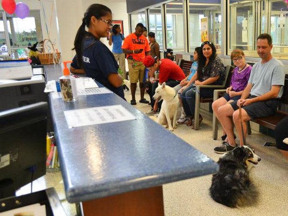 Houston Humane Society owners with dogs
