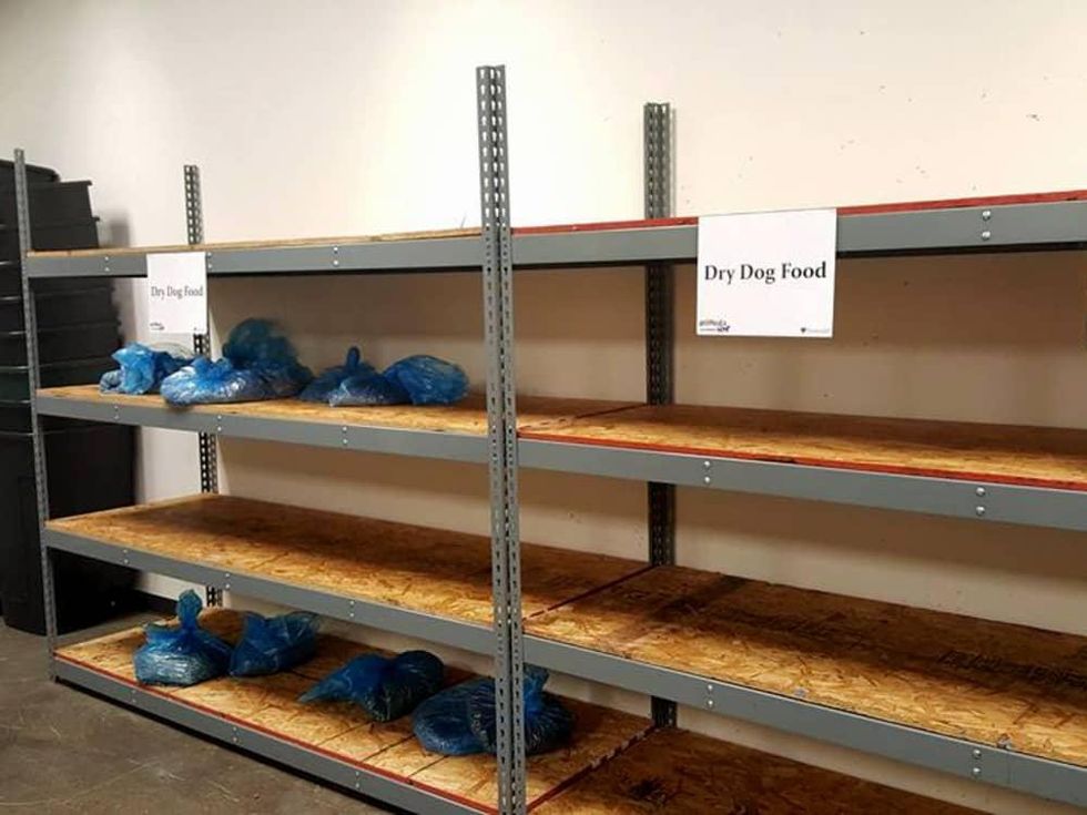 Houston, Interfaith Ministries aniMeals, December 2015, no pet food, empty shelves