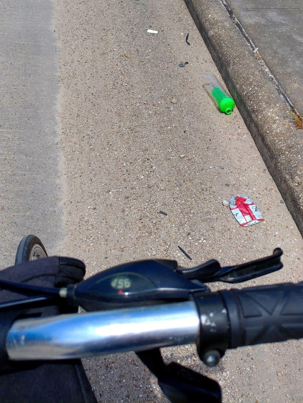 Houston, Ken Hoffman, pethouse pet of the week, westpark bike lanes