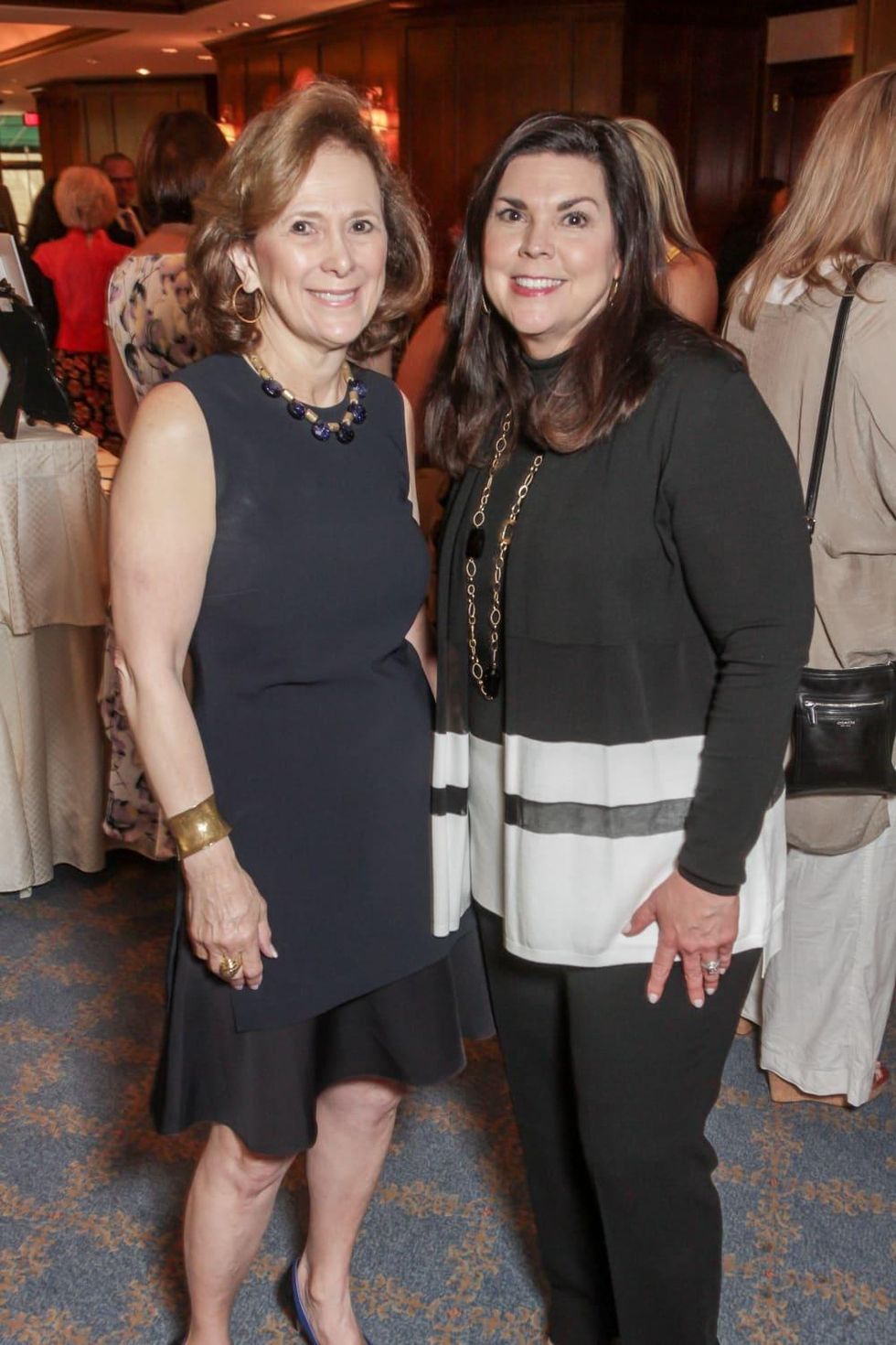 Houston, More Than You Can Imagine luncheon, April 2016, Franelle Rogers and Lesha Elsenbrook