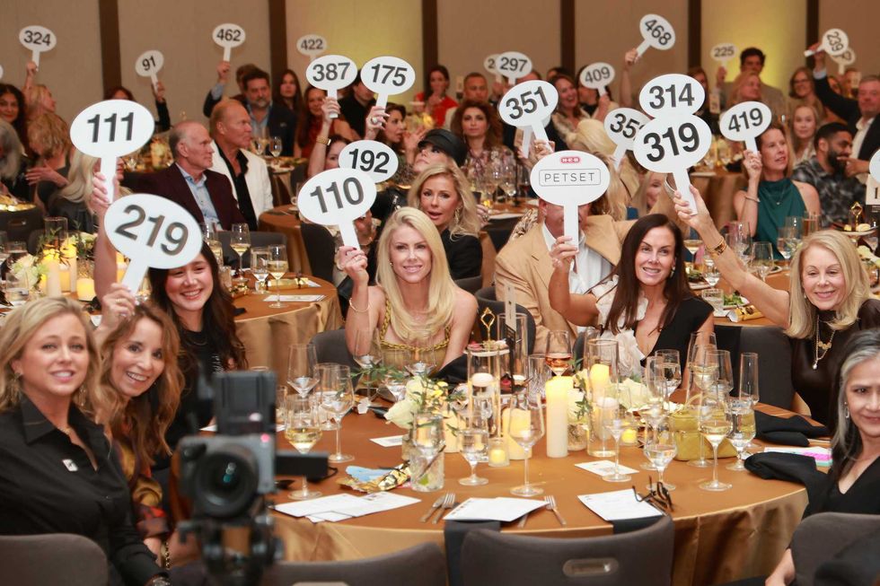 Houston Pet Set Gala Fundraiser 2026