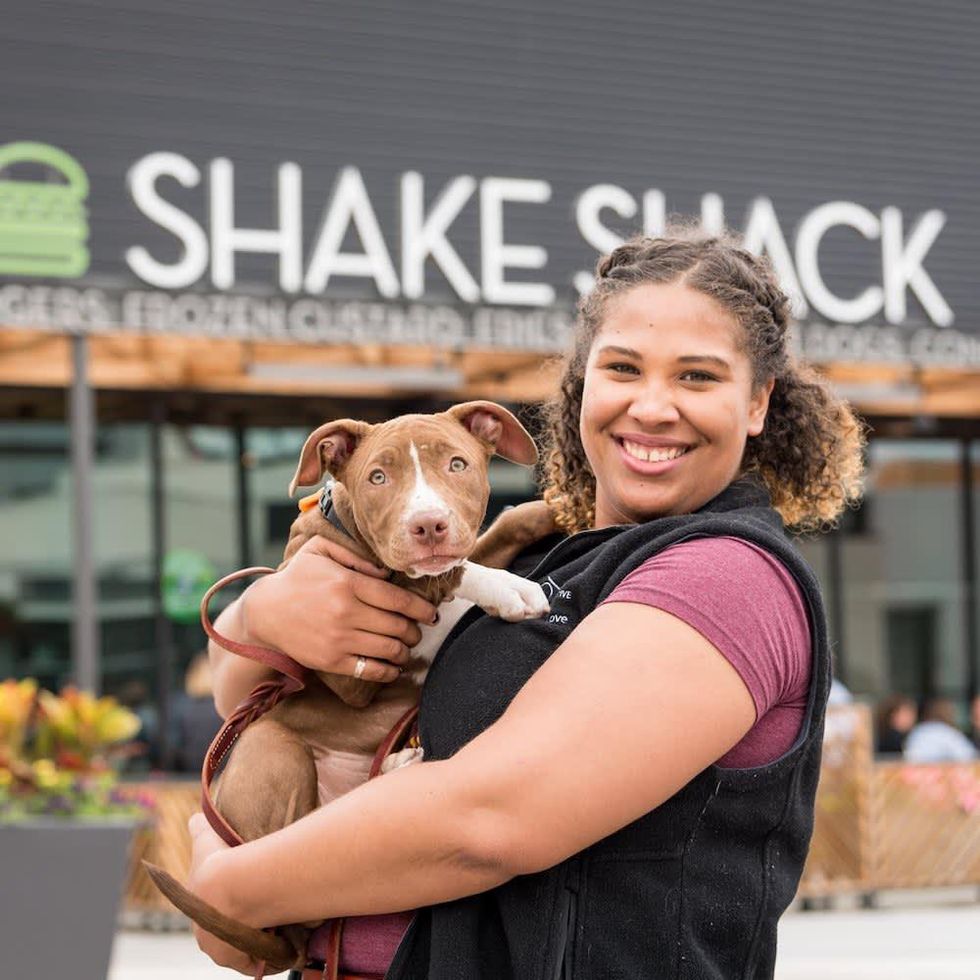 Houston Pets Alive Shake Shack Tuesday Fundraisers