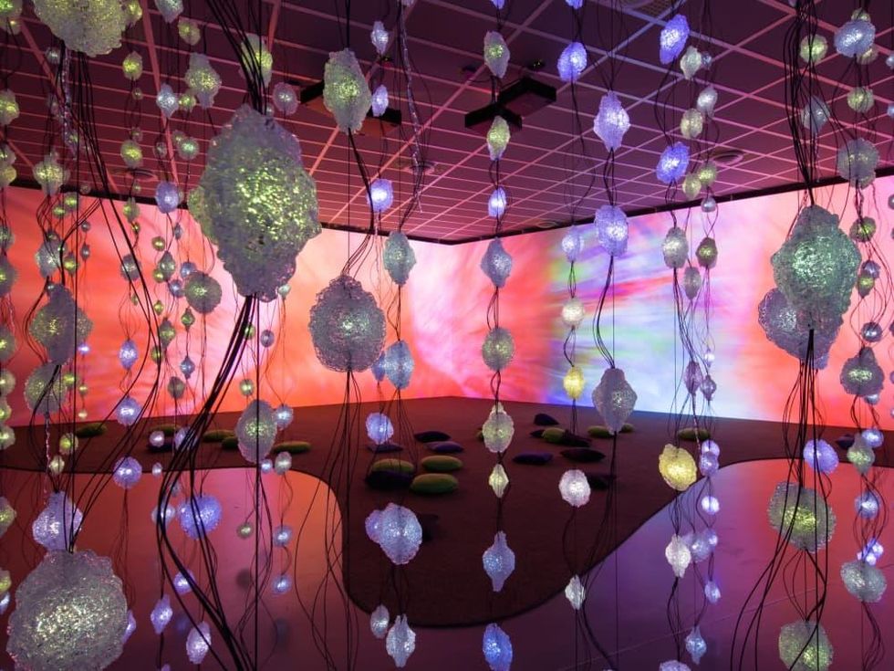 Houston, Pipilotti Rist MFAH exhibit, June 2017, floor view