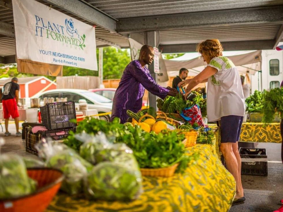 Houston, Plant it Forward Farms, November 2017