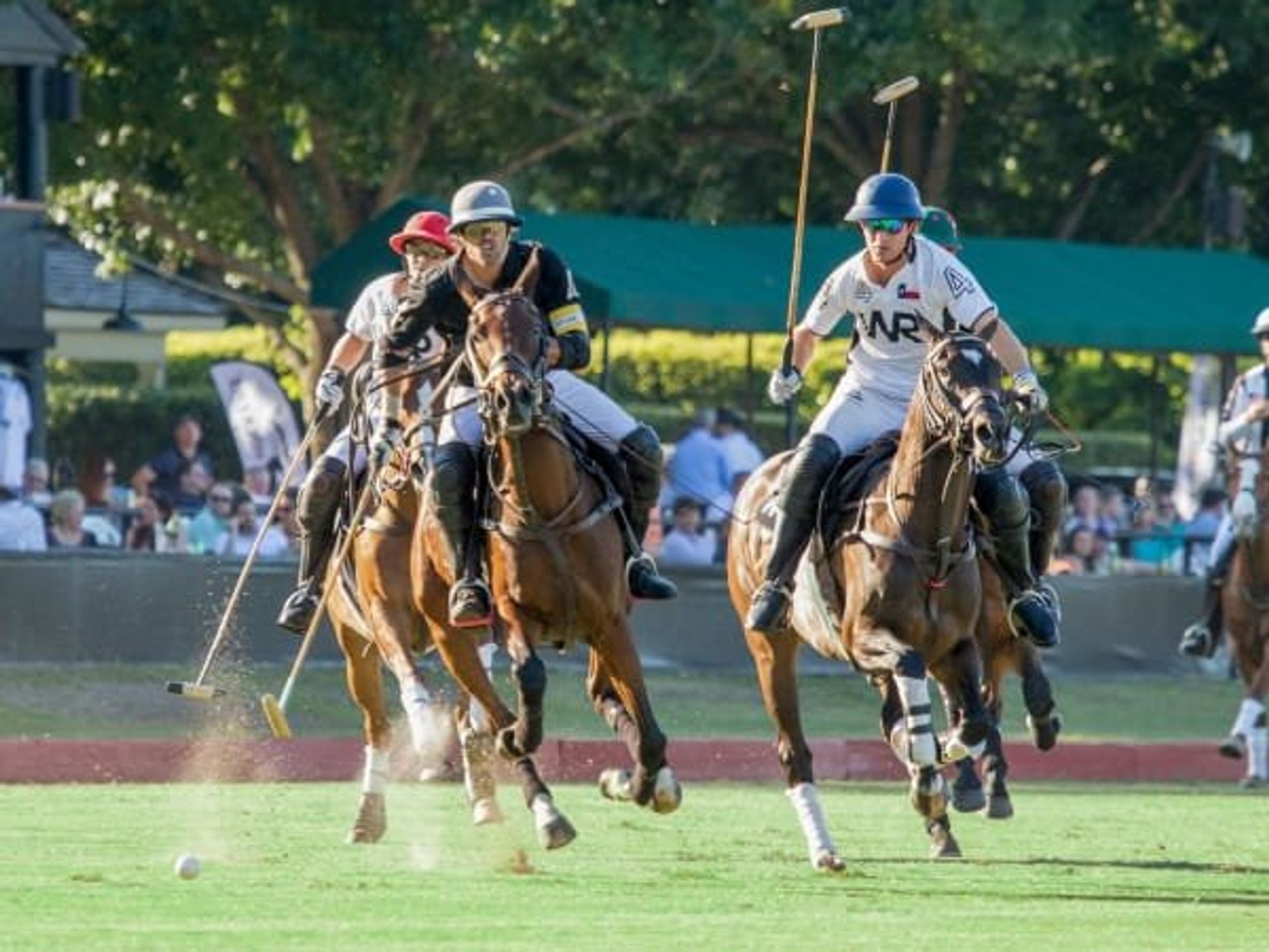 Houston Polo Club