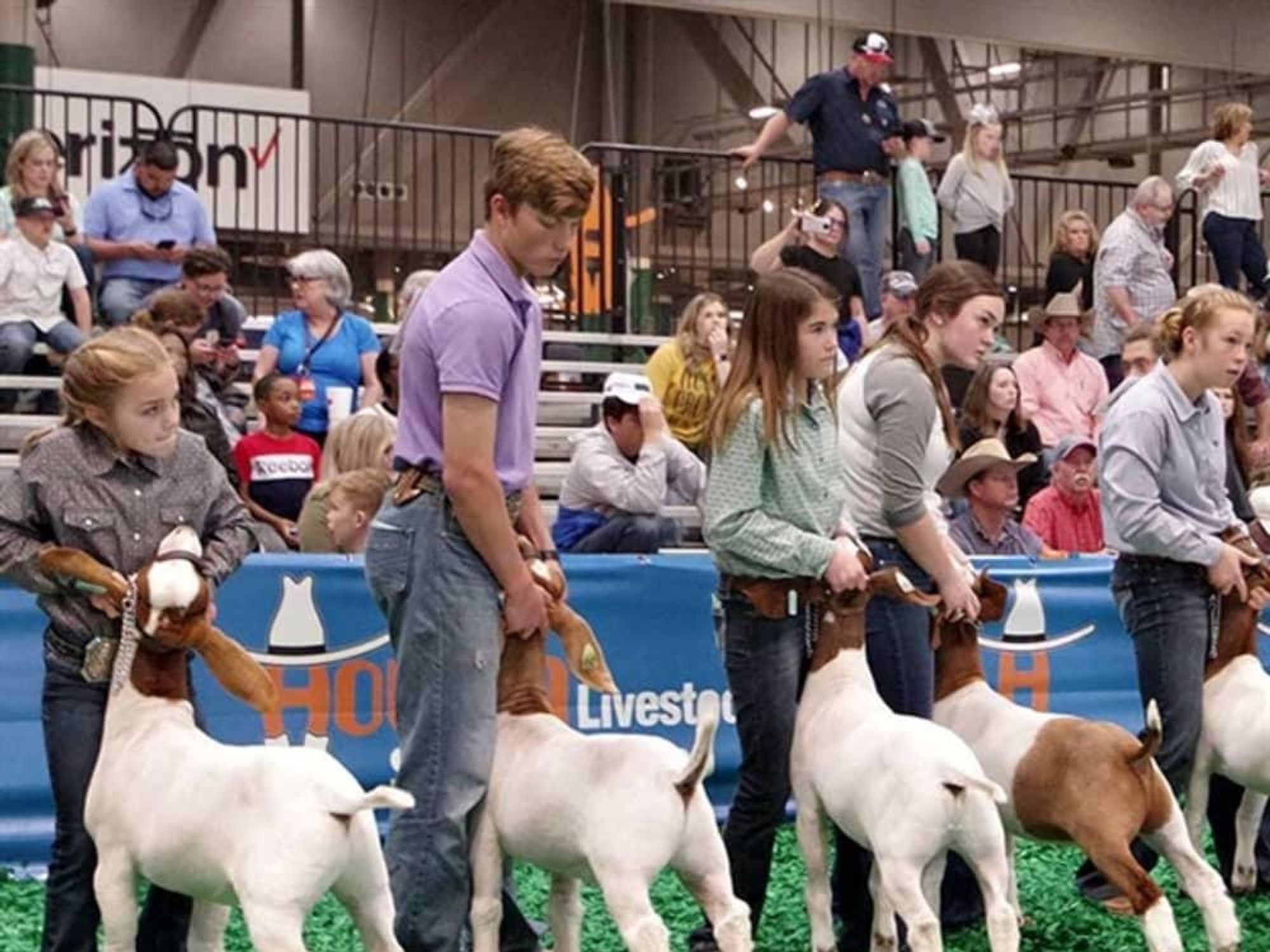 Houston Rodeo junior exhibitors