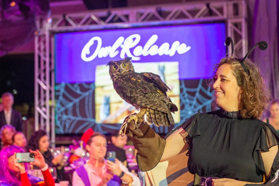 Houston SPCA 2022 Howl-o-ween Ball