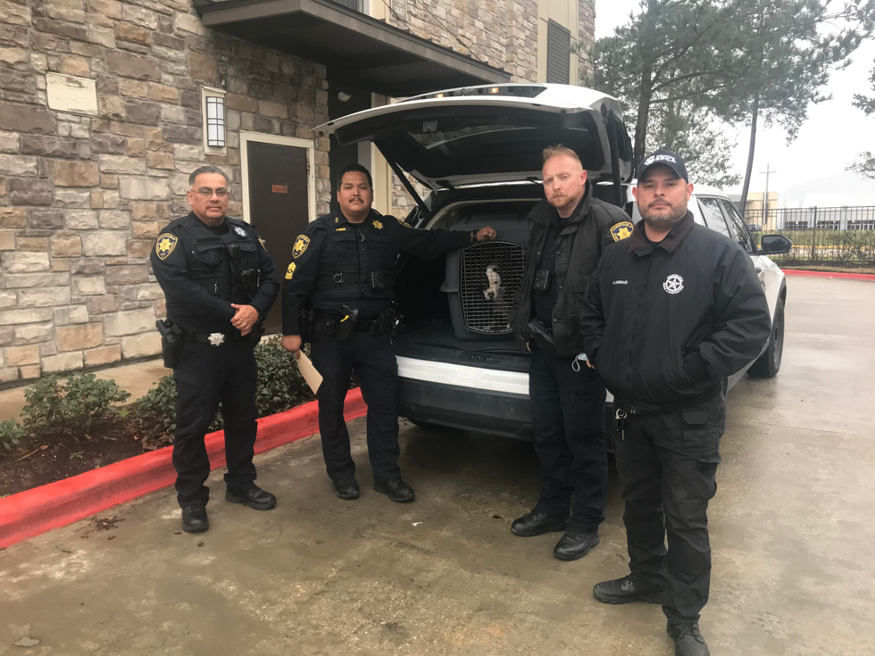 Houston SPCA animal cruelty investigator with Harris County Precinct 1 constables