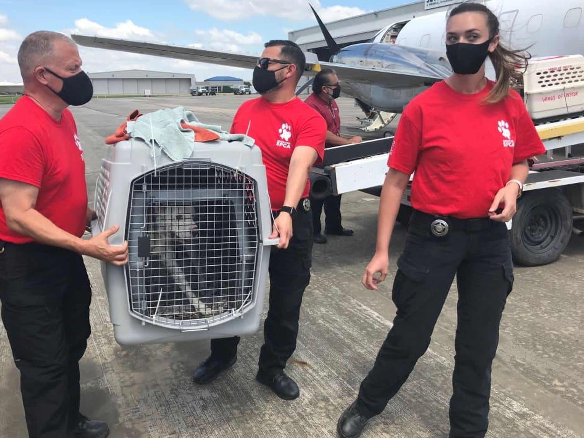 Houston SPCA animal rescue team