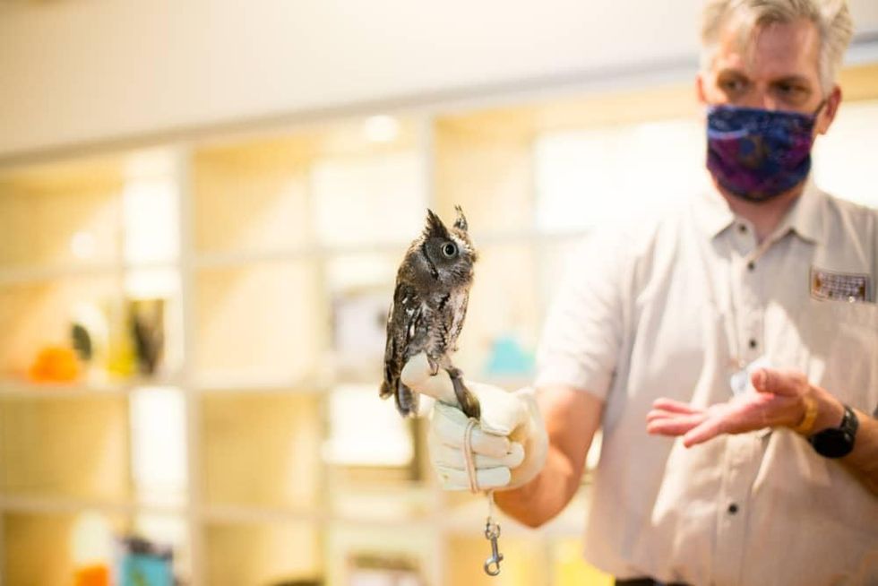 Houston SPCA clear the shelters