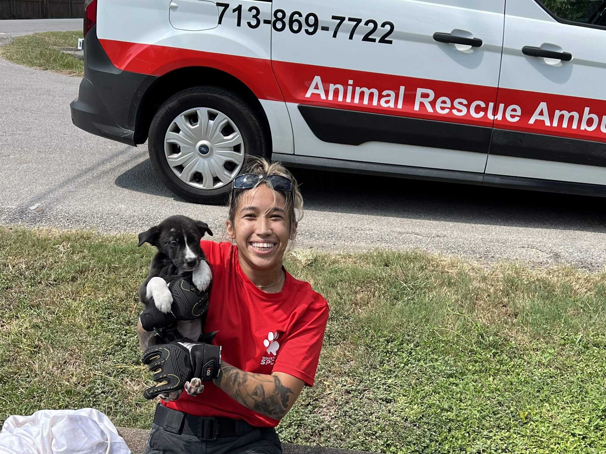 Houston SPCA dog rescue