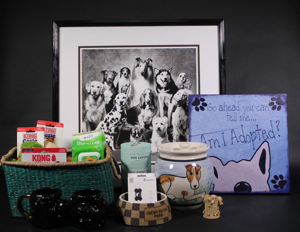 Houston SPCA Howl-O-Ween Ball auction items