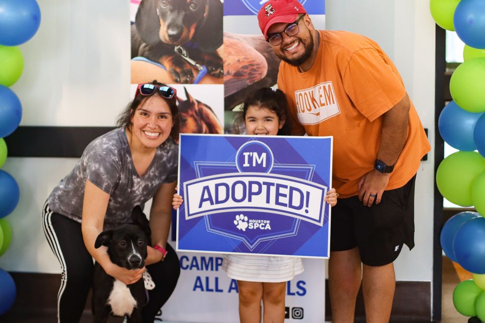 Houston SPCA open house