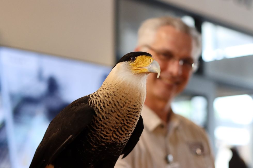 Houston SPCA open house