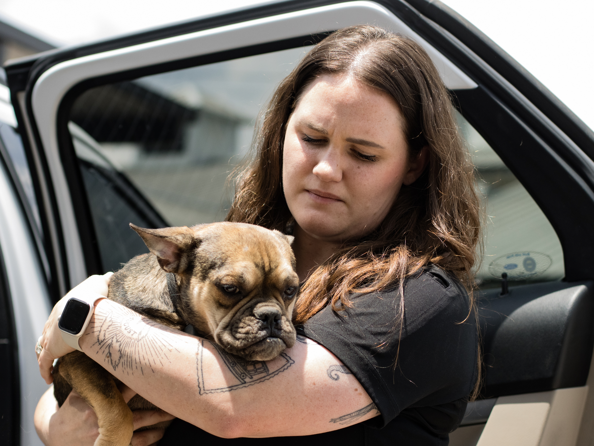 Houston SPCA rescuing French bulldog