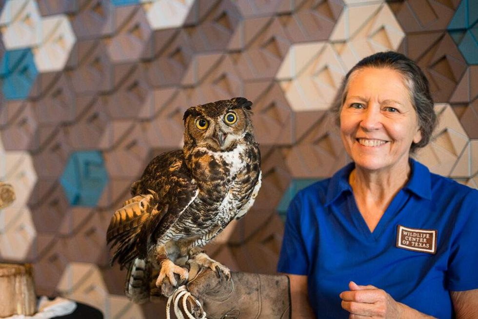 Houston SPCA Topgolf