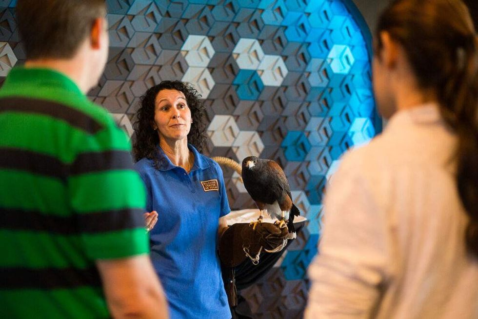 Houston SPCA Topgolf