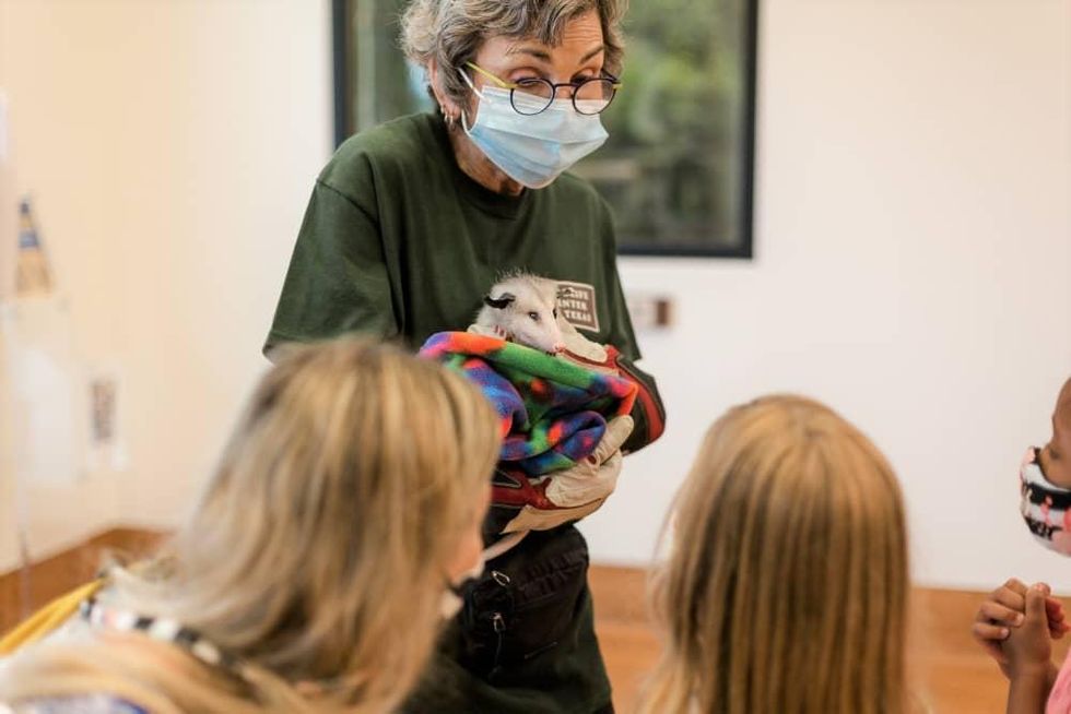 Houston SPCA wildlife chat