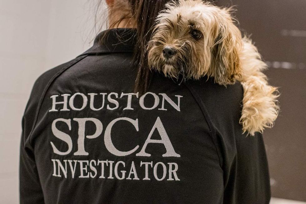 Houston SPCA
