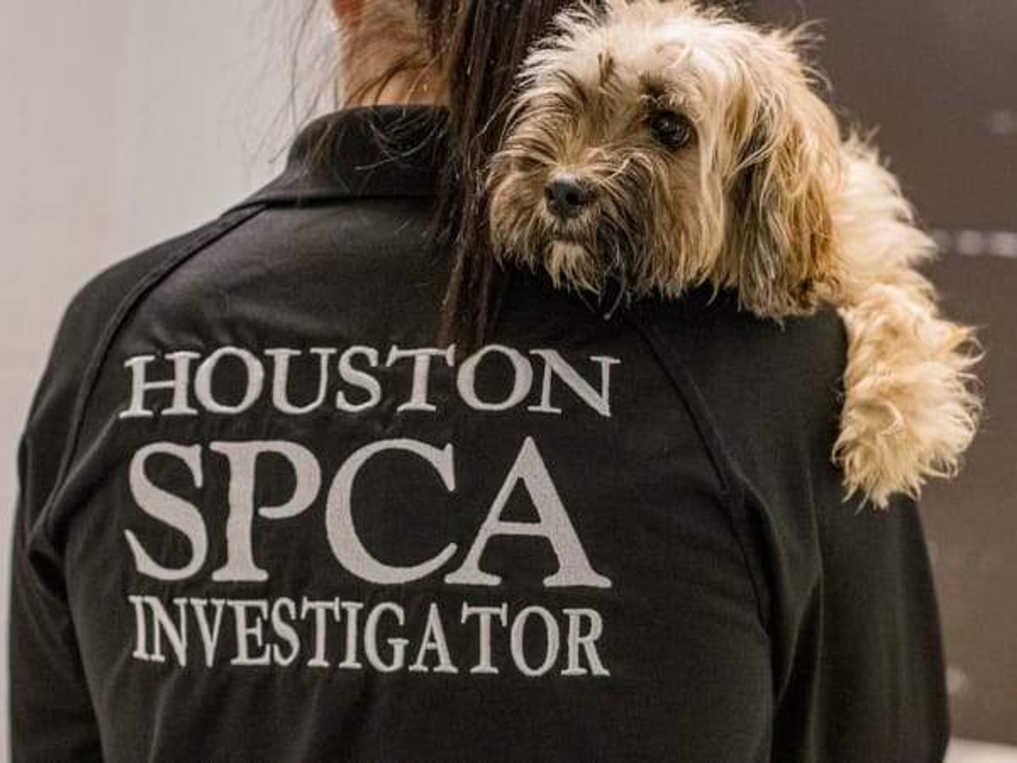 Houston SPCA