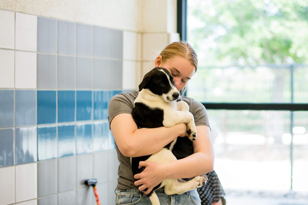Houston SPCA