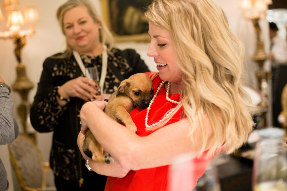 Houston SPCA
