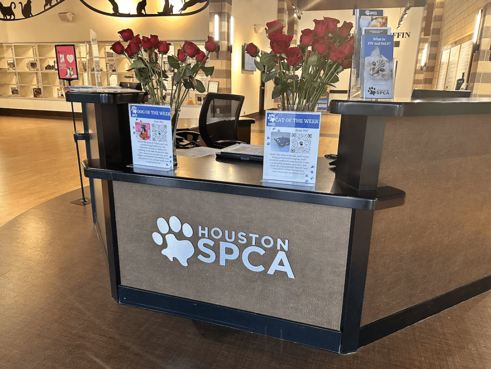 Houston SPCA