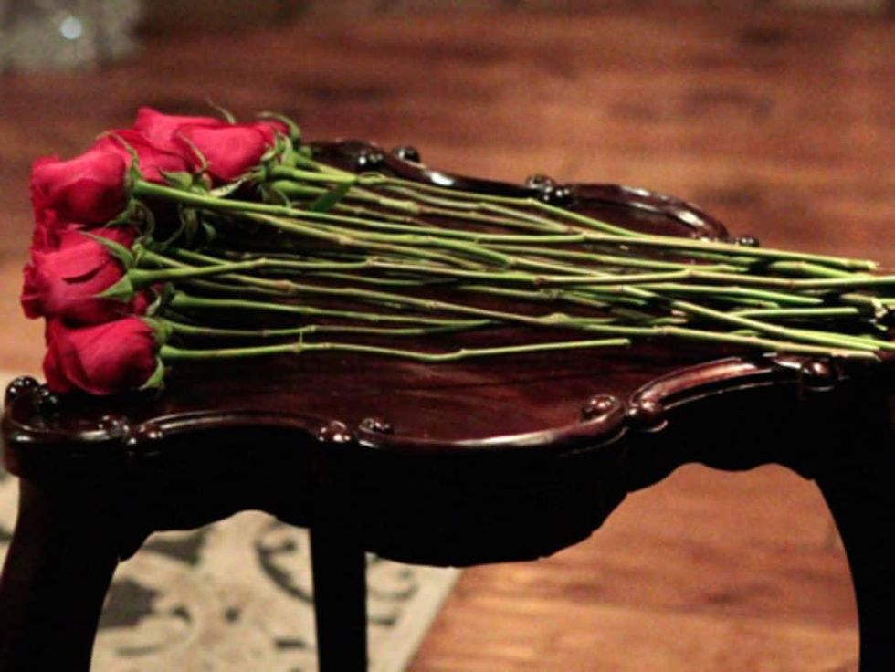 Houston, The Bachelor season 20, December 2015, red roses