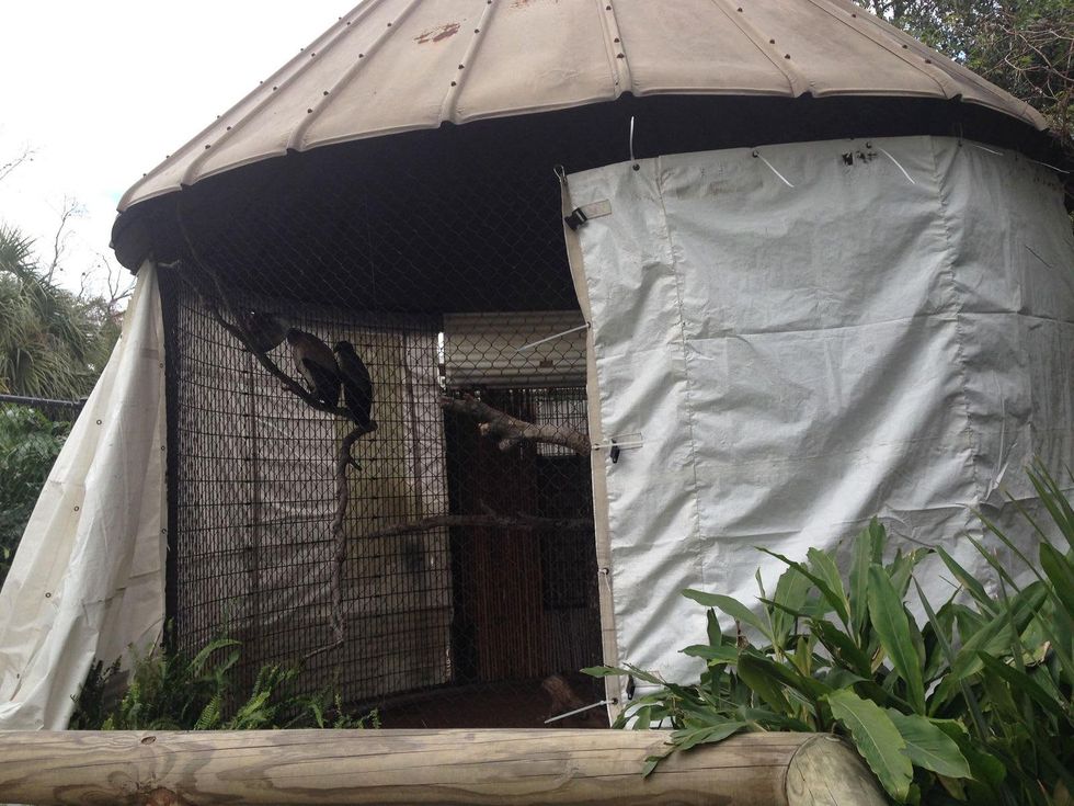 Houston weather freeze Houson Zoo cage wrapped in plastic January 2015 zookeepers took extra time to make sure the animals were snug