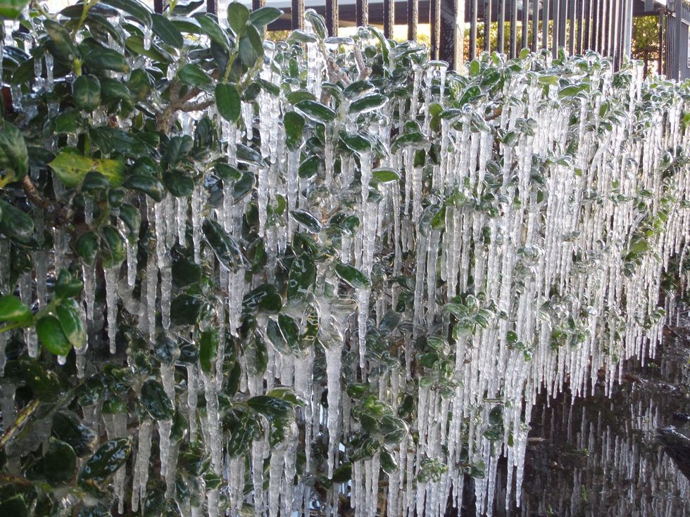 Houston weather Houston freeze CultureMap January 2015