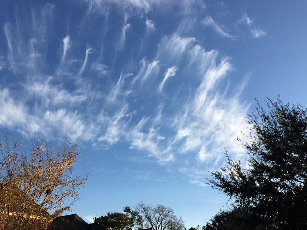 Houston weather Houston freeze January 2015 Cold morning (for Houstonians) plus wispy cirrus clouds have made the sky over Houston gorgeous today!