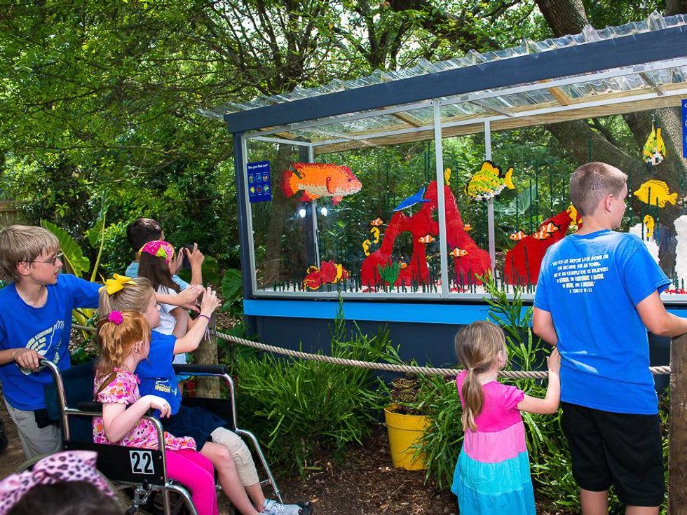 Houston Zoo Animals Assembled Legos June 2013 aquarium