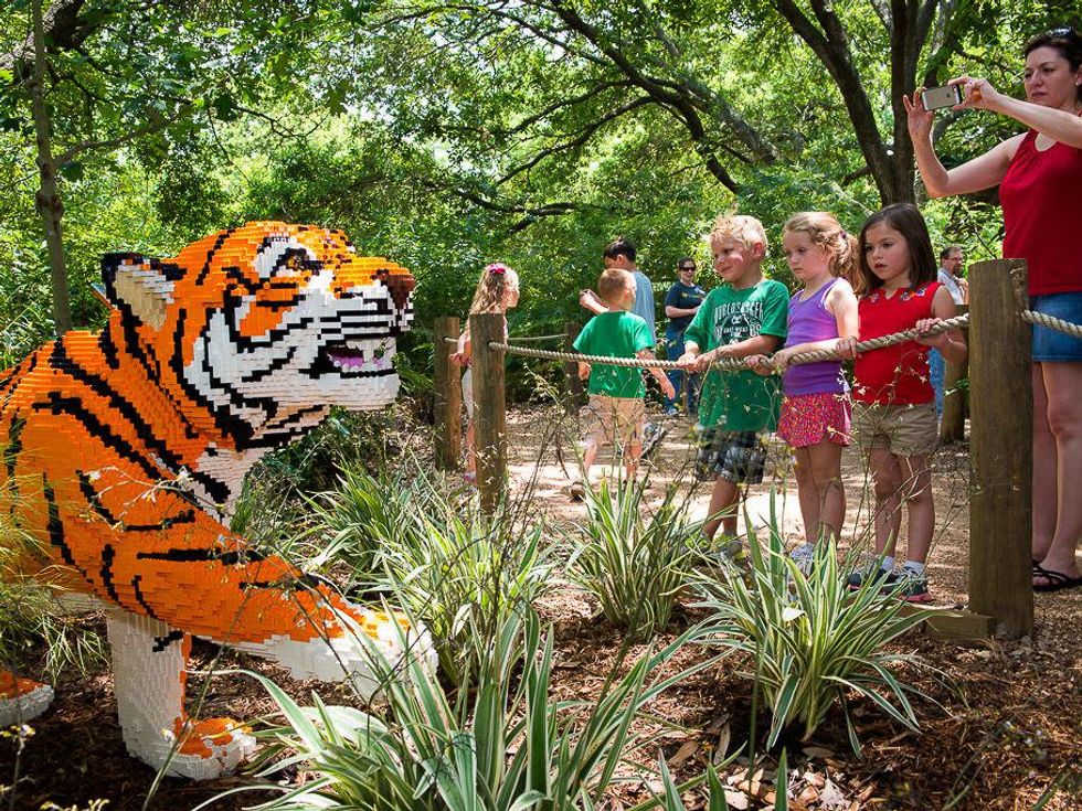 Houston Zoo Animals Assembled Legos June 2013 tiger