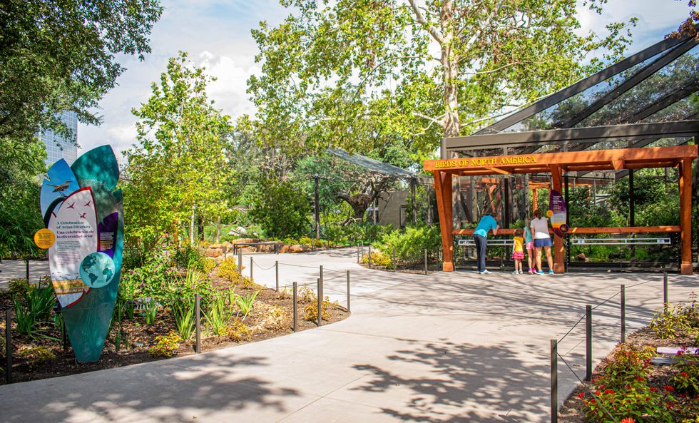 Houston Zoo opens new Birds of the World exhibit - CultureMap Houston