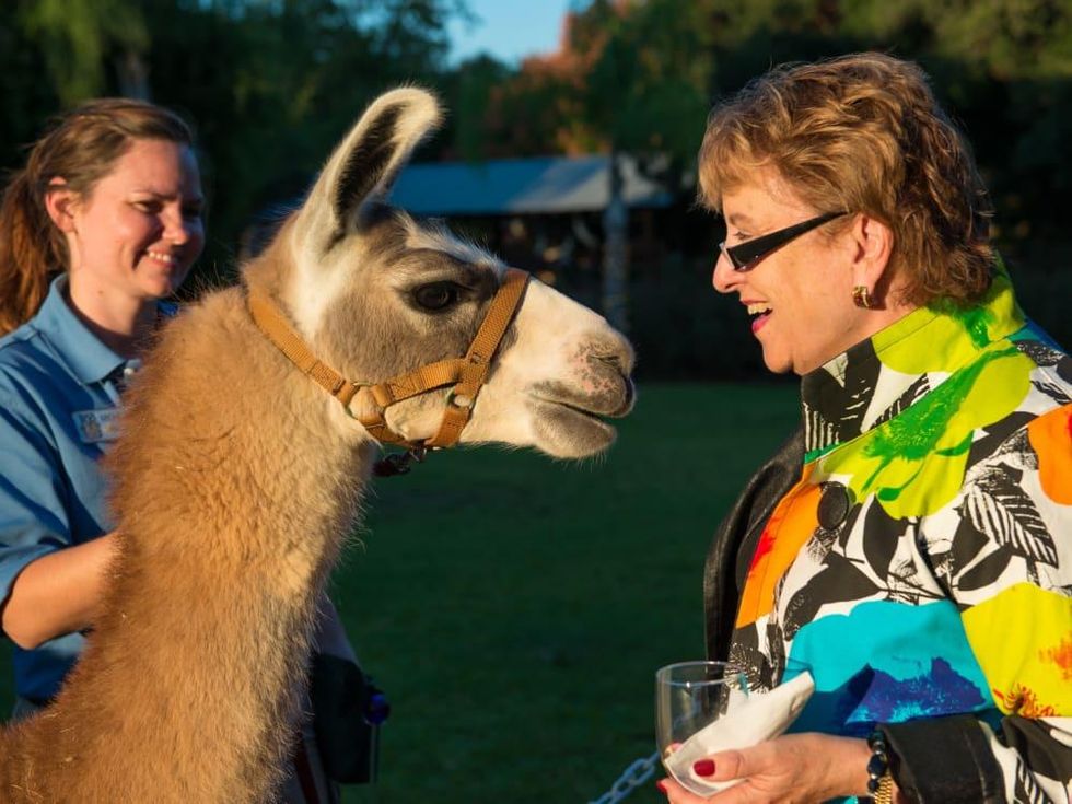 Houston Zoo Conservation Gala 2015