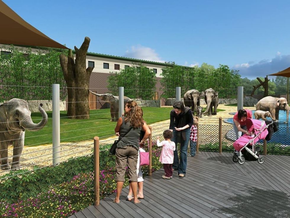 Elephant walk Thai, Tucker, and Baylor move into new digs at Houston