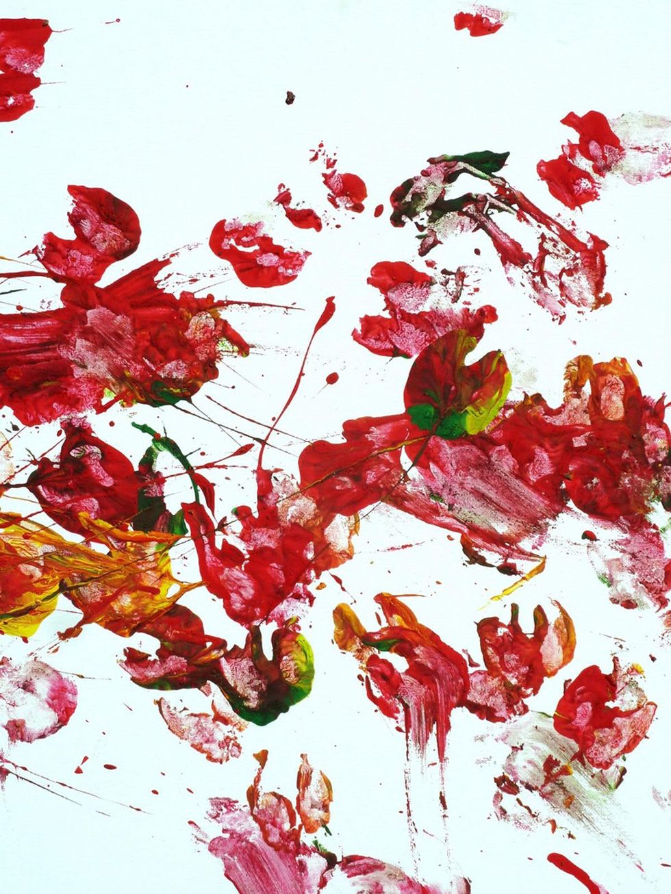 Houston Zoo exhibit paintings by elephants and orangutans April 2014 Remley-Field_of_Poppies_16_x_20_framed