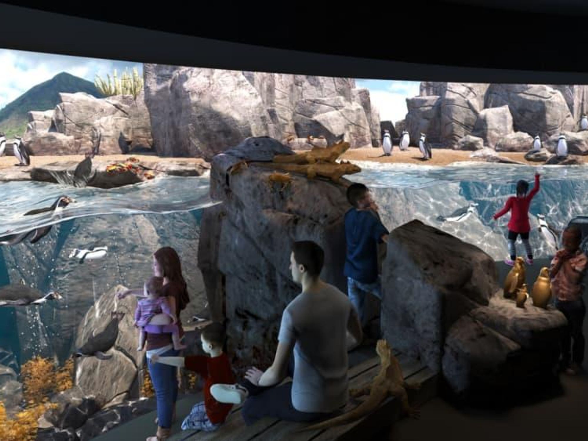 houston zoo galapagos exhibit penguins