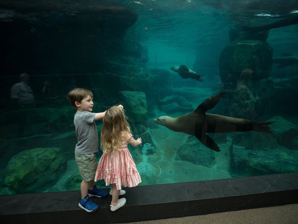 Houston Zoo Galapagos