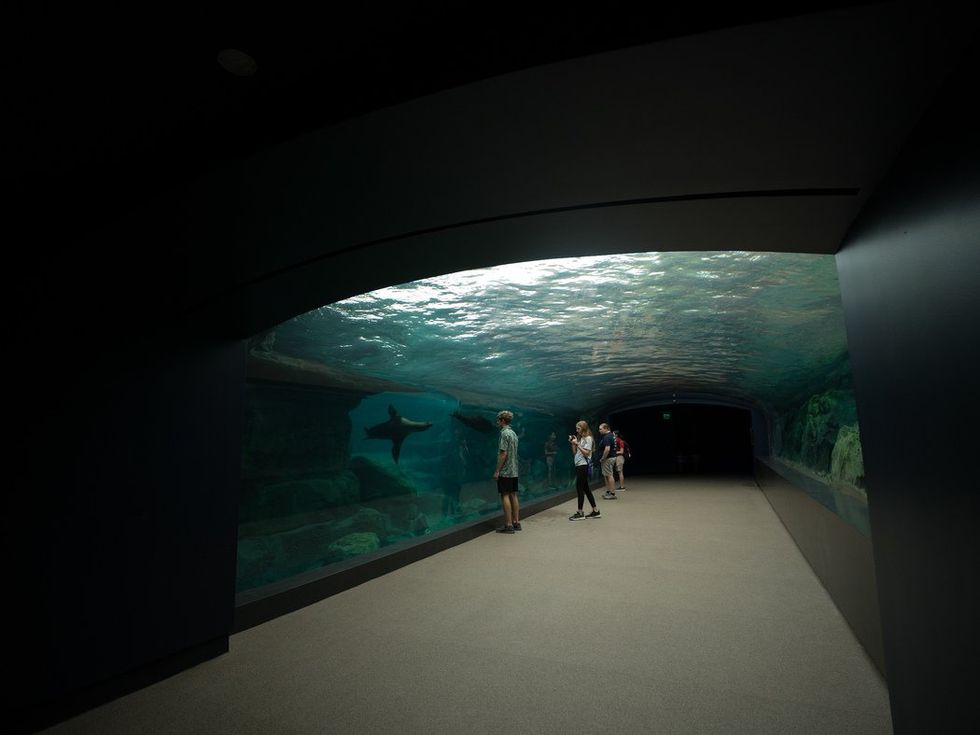 Houston Zoo Galapagos