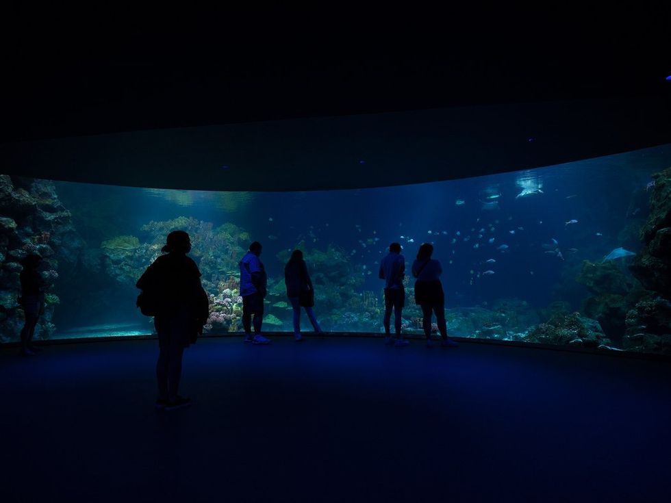 Houston Zoo Galapagos