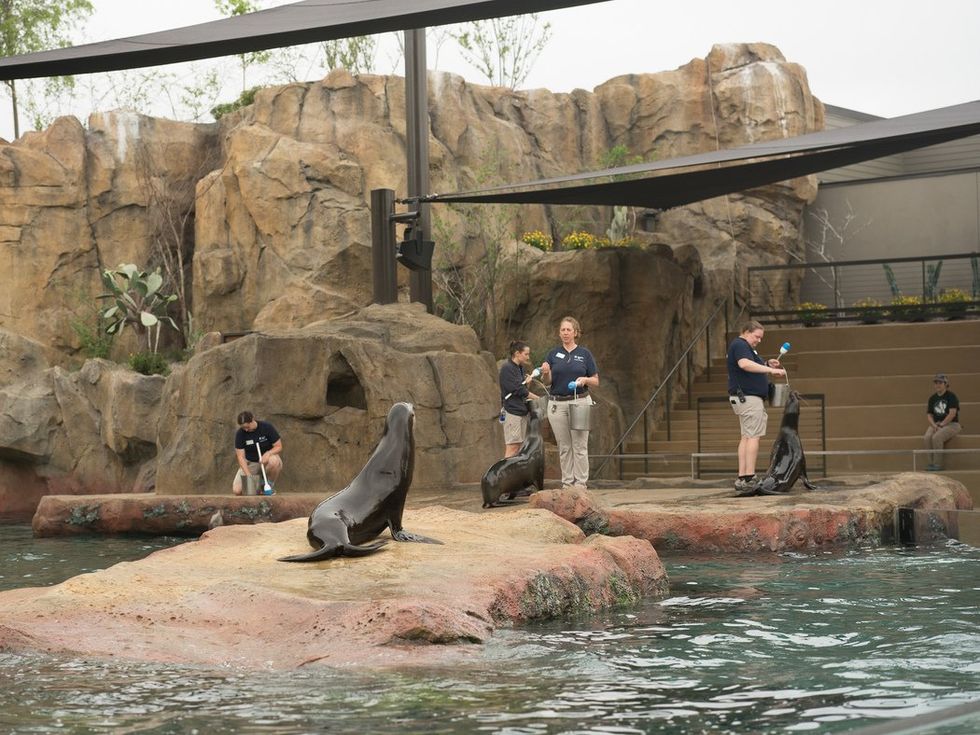 Houston Zoo Galapagos