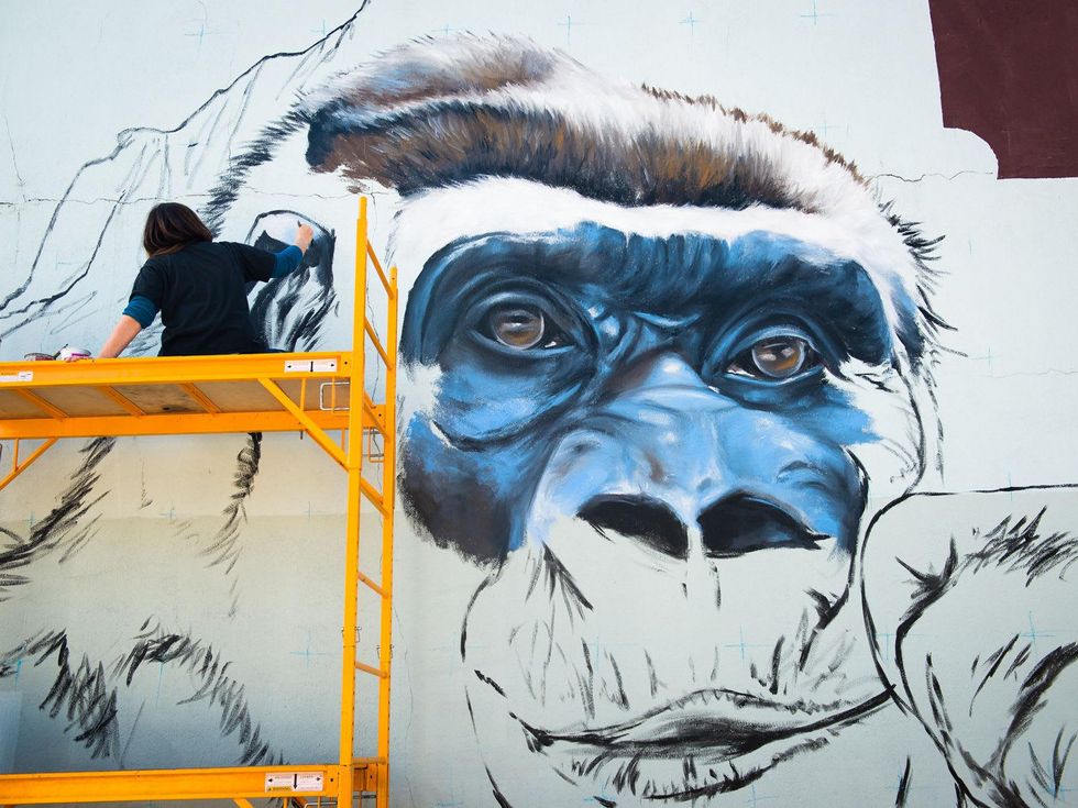 Houston Zoo gorilla mural February 2015 artist Anat Ronen at 3701 Main St. Richards Antitques