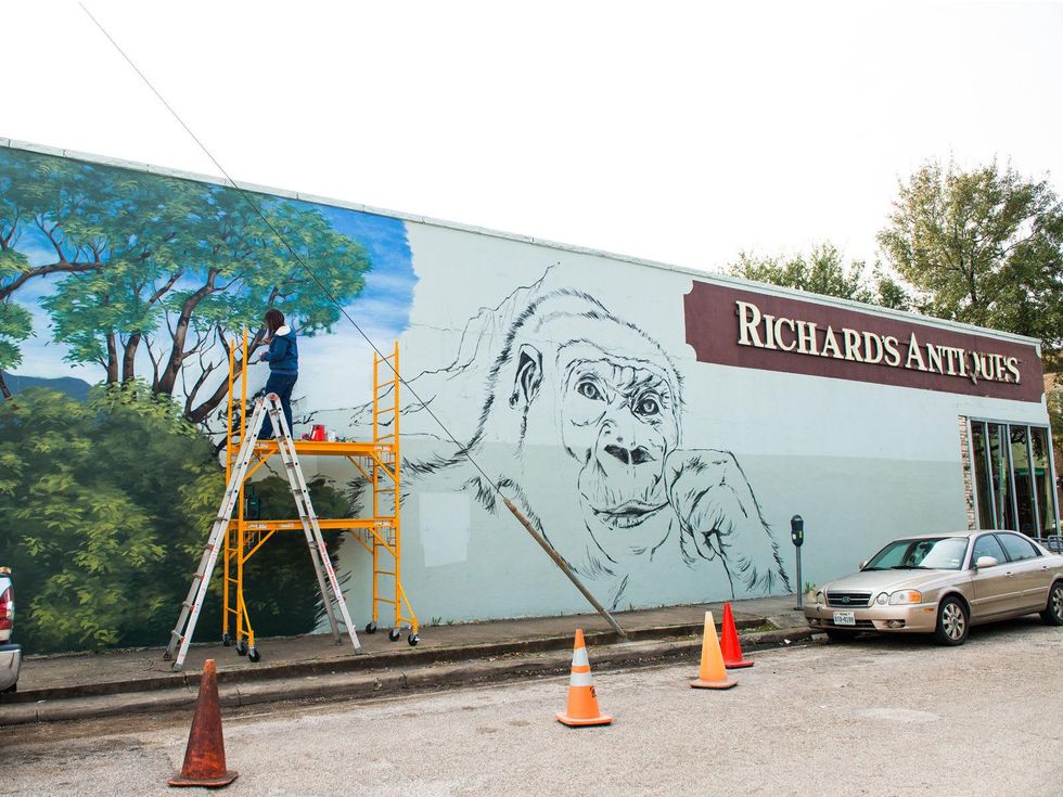 Houston Zoo gorilla mural February 2015 by artist Anat Ronen 3705 Main St.