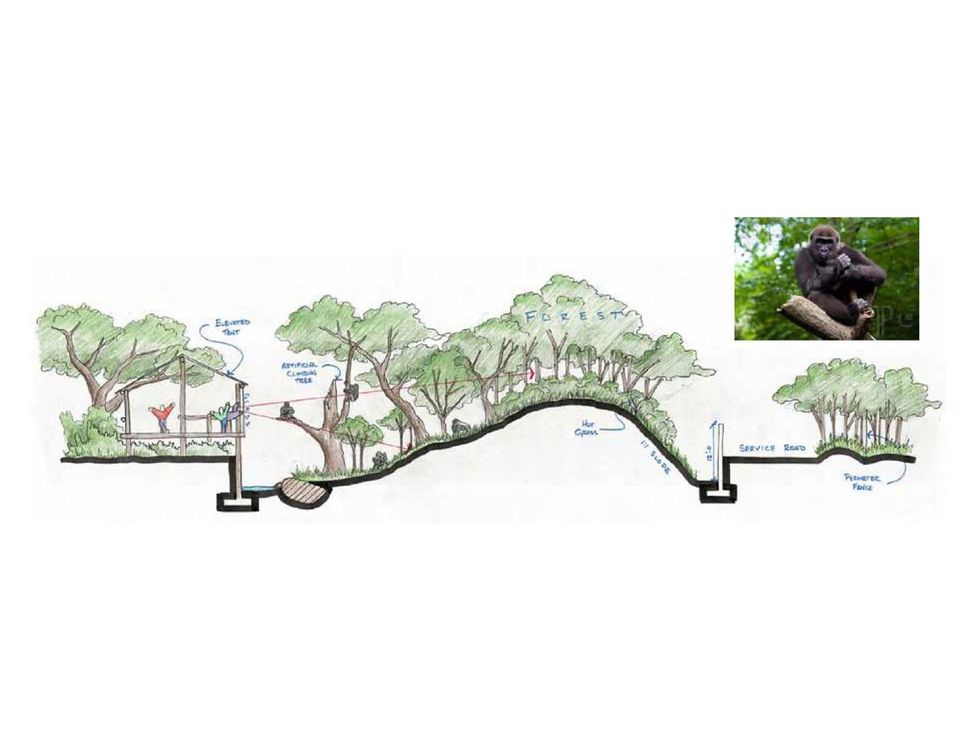 Houston Zoo Gorillas of the African Forest Phase 2 announcement May 2013 rendering