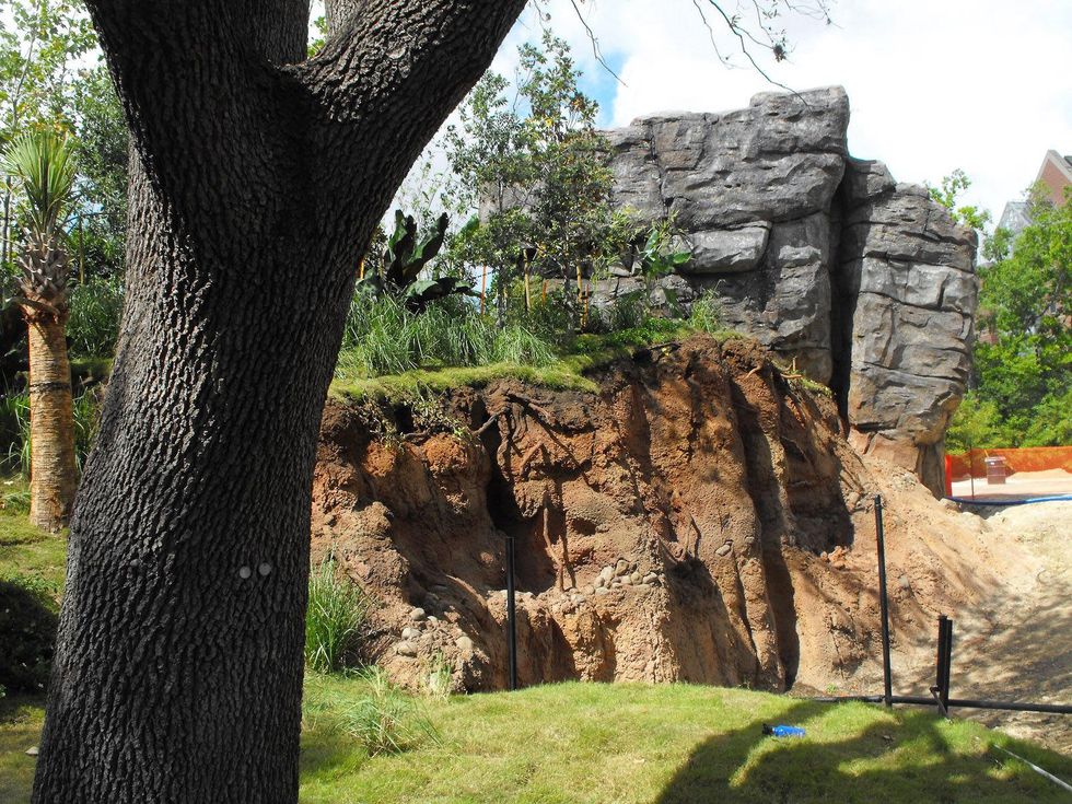 Houston Zoo Gorillas of the African Forest Phase 2 announcement May 2013