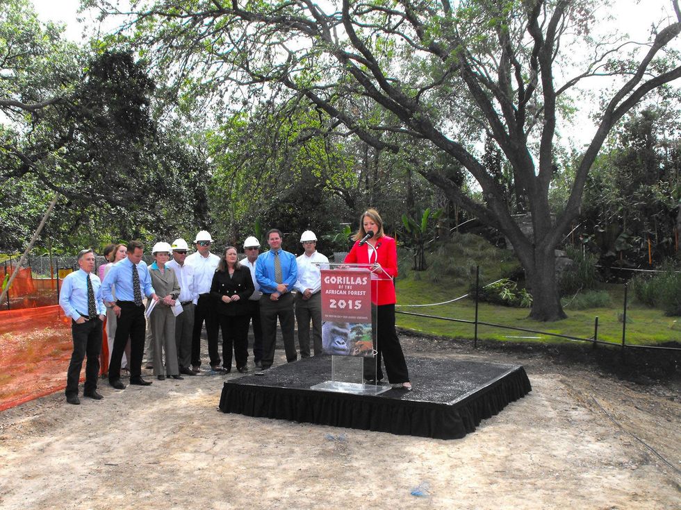 Houston Zoo Gorillas of the African Forest Phase 2 announcement May 2013