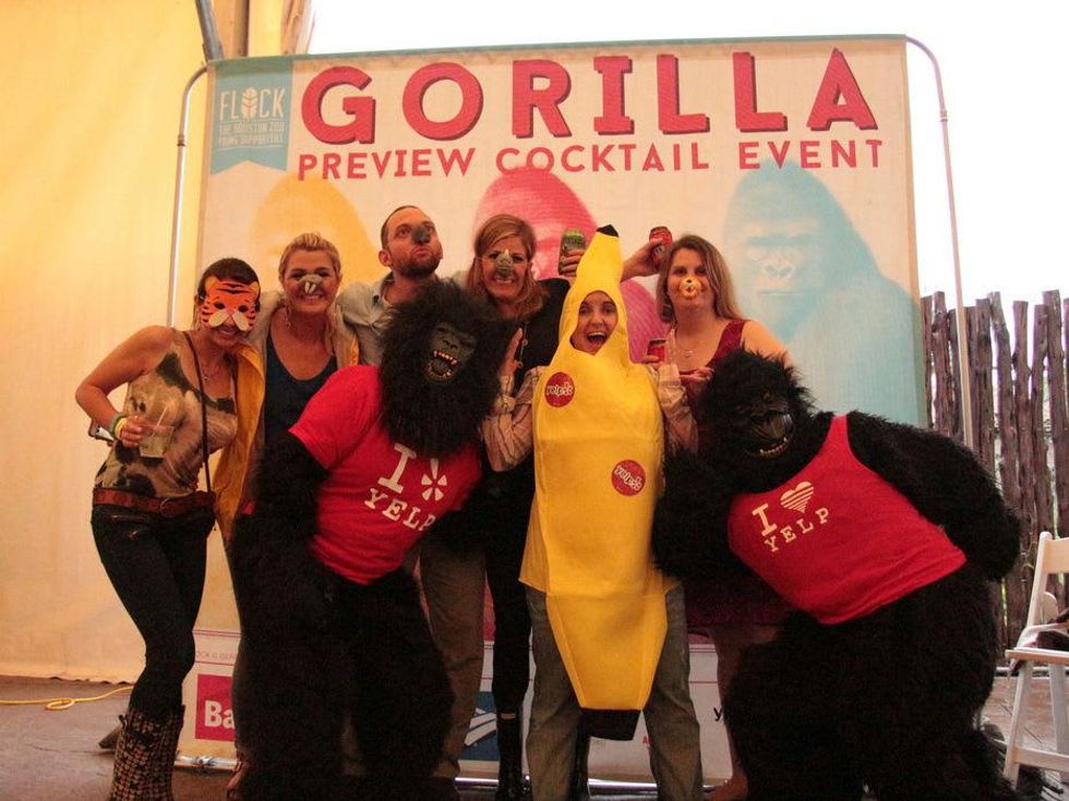 Houston Zoo gorillas YP Alicia Zaccagni, Brooke Story, Drew Sabetti, Elizabeth Weiss, Sarah Pepper, Lelia Vacek, with YELP gorillas