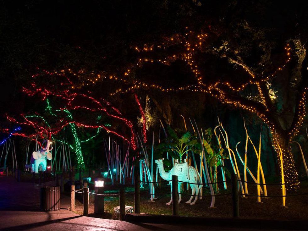 Houston Zoo holiday lights, November 2012